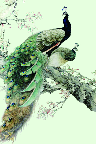 背景墙-中式风 玄关，隔断，移门，电视背景墙，高清图，高清平开门，LYF-370，孔雀，3D立体图，两只孔雀