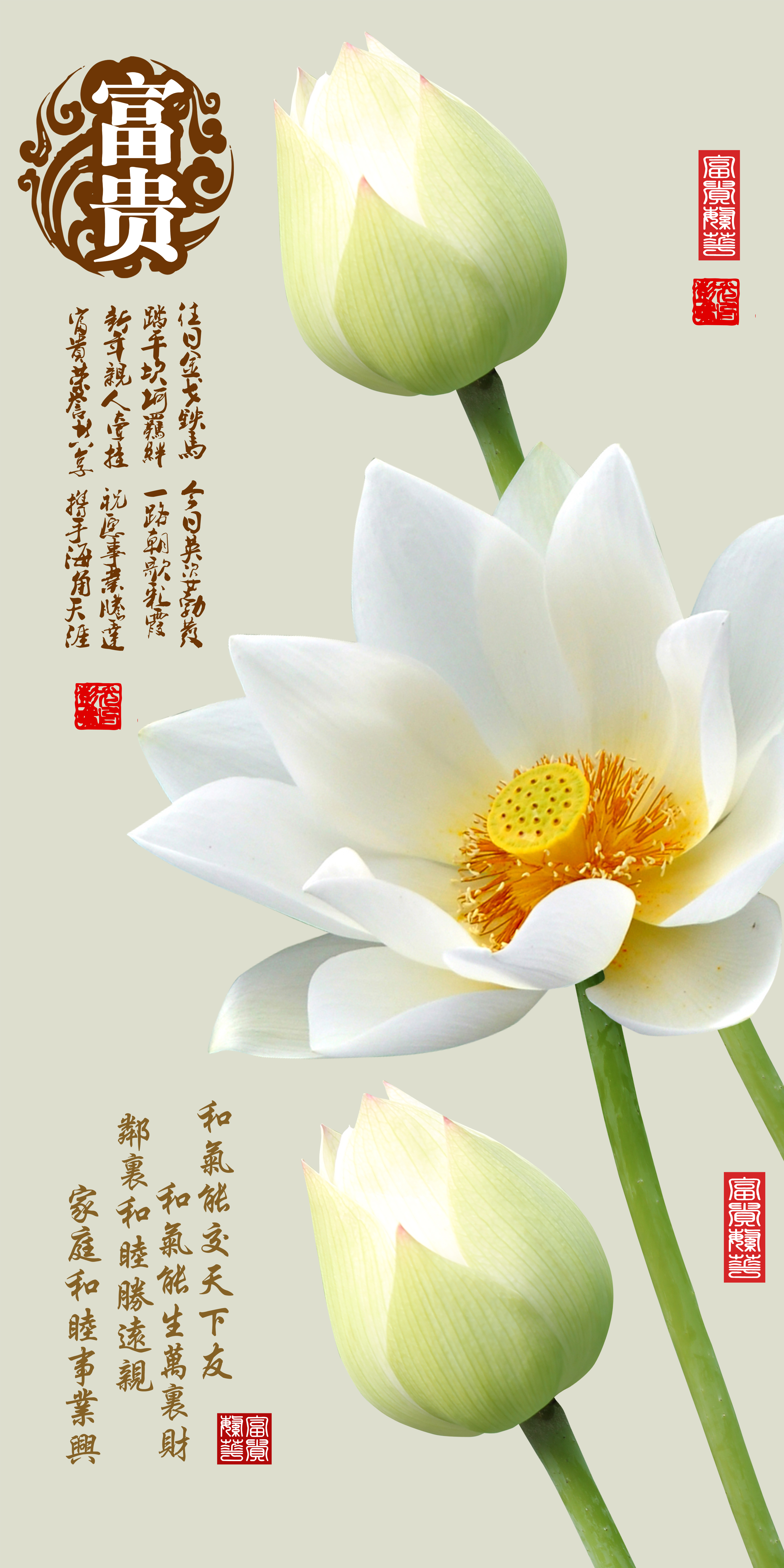  LYF-369  玄关，隔断，移门，电视背景墙，高清图，高清平开门，LYF-369，荷花，花苞，花蕊，3D立体图，富贵花开，富贵