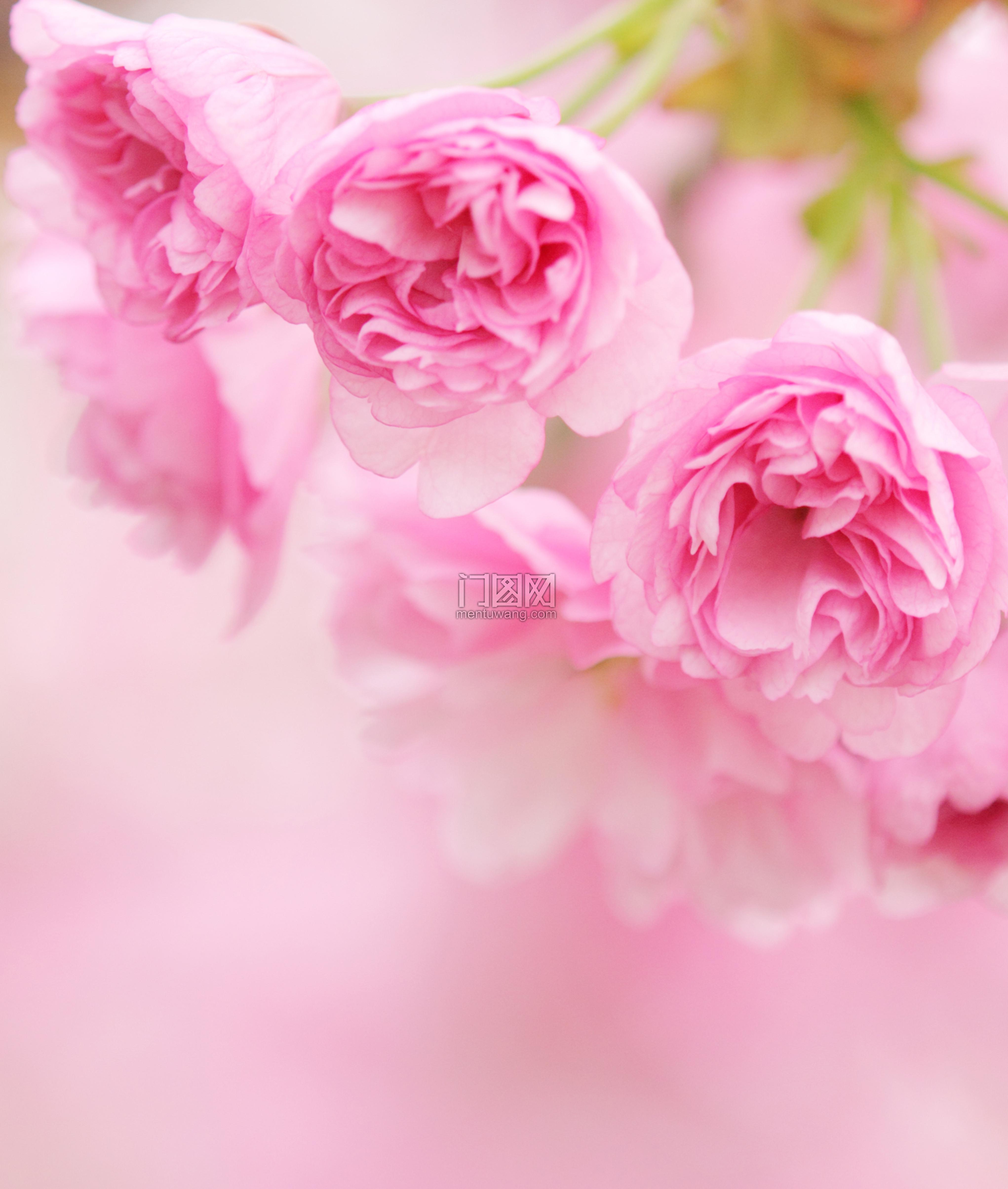 DF-158 冰雕花,皮雕花,硬包软包皮纹,碳雕花,移门腰线,纸花,钻饰配件,锌合金相框,锌合金花,水晶相框,树脂沙雕,刺绣花,吸塑花,小软包,打印花素材,扣线,拉手,擦色皮花,木纹,镂空铝花 移门素材，滑门素材，喷绘，写真，3D,5D,吸塑