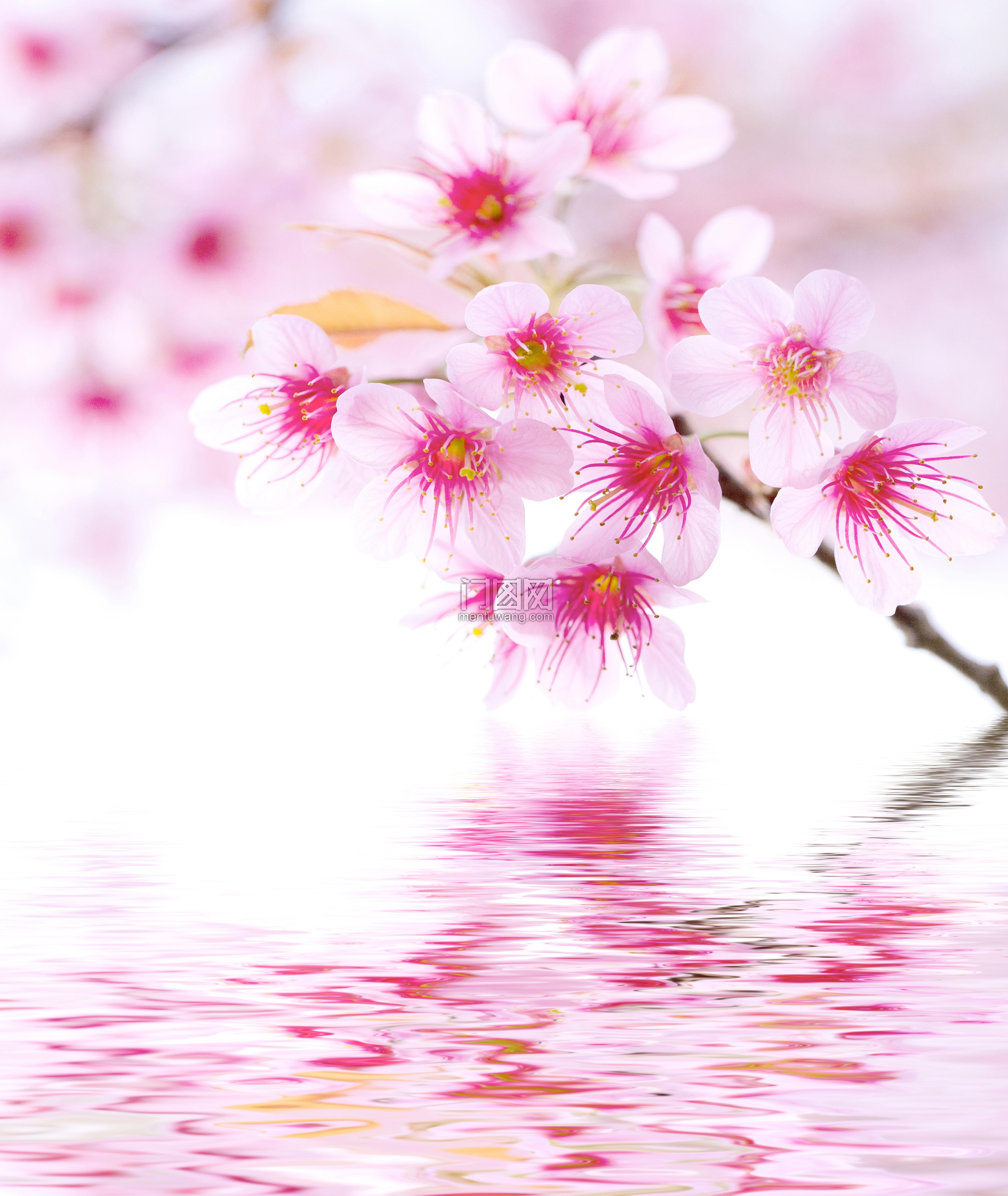 DF-167 冰雕花,皮雕花,硬包软包皮纹,碳雕花,移门腰线,纸花,钻饰配件,锌合金相框,锌合金花,水晶相框,树脂沙雕,刺绣花,吸塑花,小软包,打印花素材,扣线,拉手,擦色皮花,木纹,镂空铝花 移门素材，滑门素材，喷绘，写真，3D,5D,吸塑