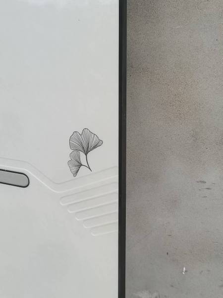 求图
